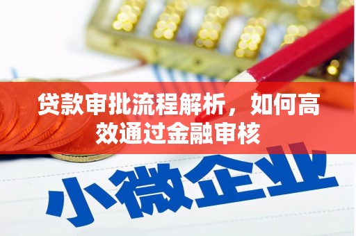 广水贷款审批流程解析，如何高效通过金融审核