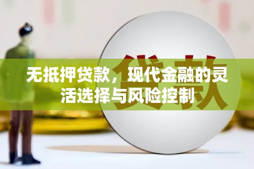 广水无抵押贷款，现代金融的灵活选择与风险控制