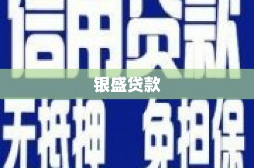 广水银盛贷款