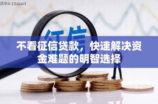 广水不看征信贷款，快速解决资金难题的明智选择