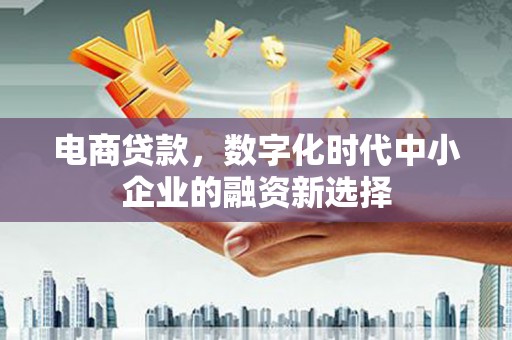 广水电商贷款，数字化时代中小企业的融资新选择