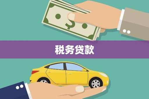 广水税务贷款