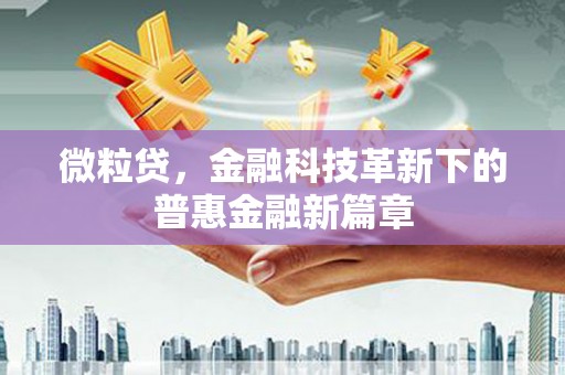 广水微粒贷，金融科技革新下的普惠金融新篇章