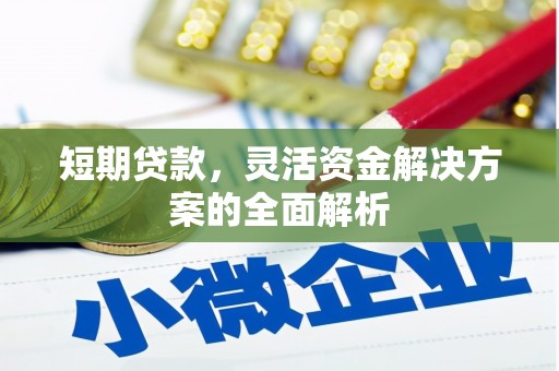 广水短期贷款，灵活资金解决方案的全面解析