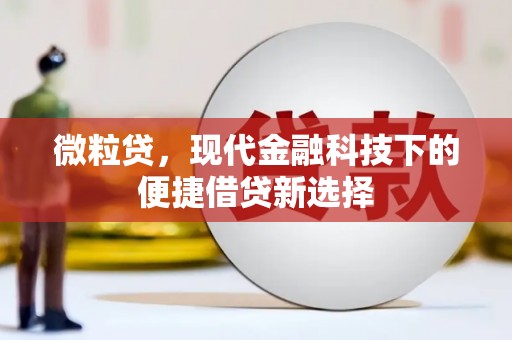 广水微粒贷，现代金融科技下的便捷借贷新选择