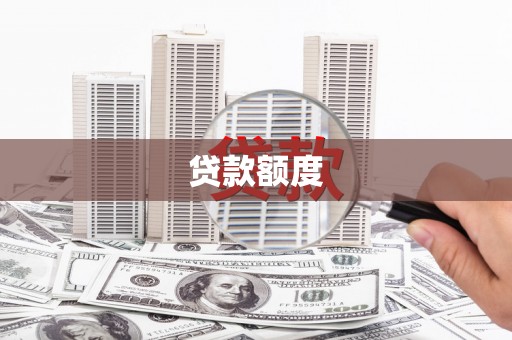 广水贷款额度
