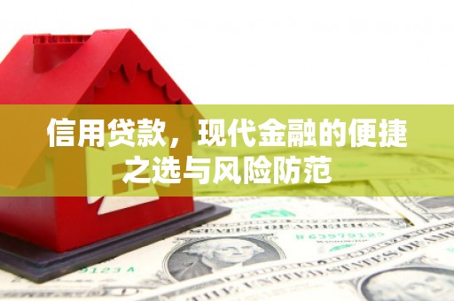 广水信用贷款，现代金融的便捷之选与风险防范