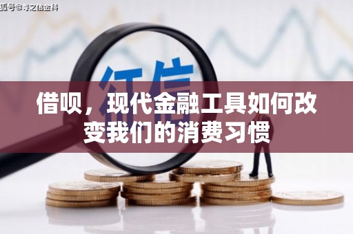 广水借呗，现代金融工具如何改变我们的消费习惯