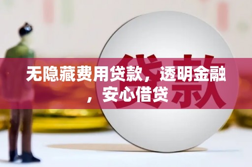 广水无隐藏费用贷款，透明金融，安心借贷