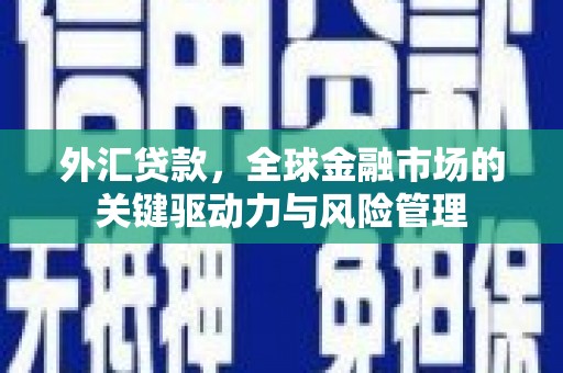 广水外汇贷款，全球金融市场的关键驱动力与风险管理