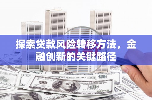 广水探索贷款风险转移方法，金融创新的关键路径