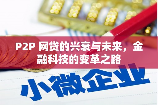 广水P2P 网贷的兴衰与未来，金融科技的变革之路