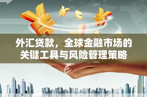 广水外汇贷款，全球金融市场的关键工具与风险管理策略