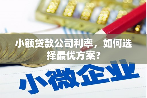 广水小额贷款公司利率，如何选择最优方案？