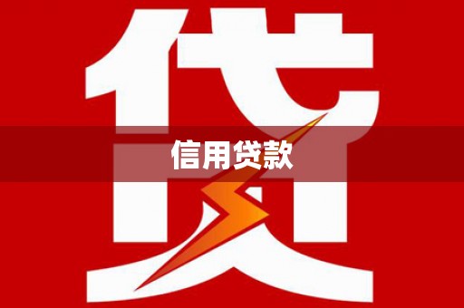 广水信用贷款