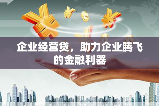 广水企业经营贷，助力企业腾飞的金融利器