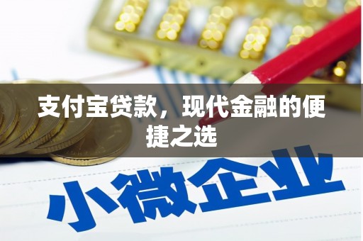 广水支付宝贷款，现代金融的便捷之选