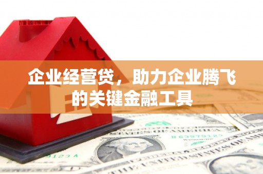 广水企业经营贷，助力企业腾飞的关键金融工具
