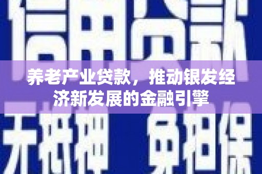 广水养老产业贷款，推动银发经济新发展的金融引擎