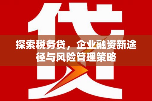 广水探索税务贷，企业融资新途径与风险管理策略