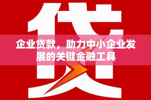 广水企业贷款，助力中小企业发展的关键金融工具