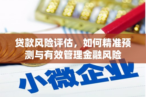 广水贷款风险评估，如何精准预测与有效管理金融风险