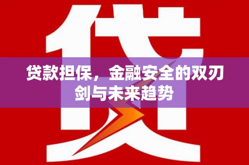 广水贷款担保，金融安全的双刃剑与未来趋势