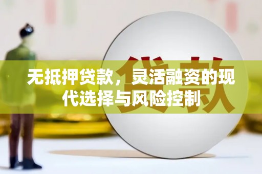 广水无抵押贷款，灵活融资的现代选择与风险控制