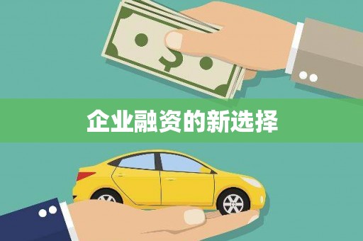广水企业融资的新选择