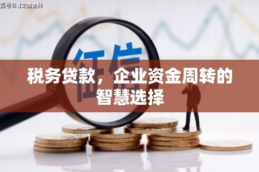 广水税务贷款，企业资金周转的智慧选择