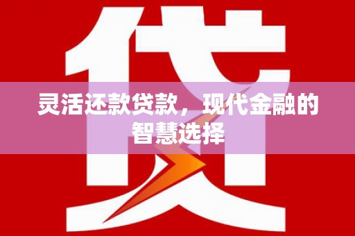 广水灵活还款贷款，现代金融的智慧选择