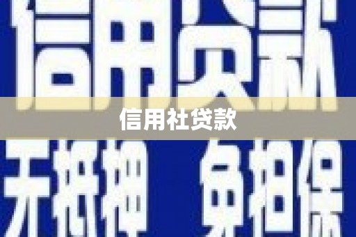 广水信用社贷款