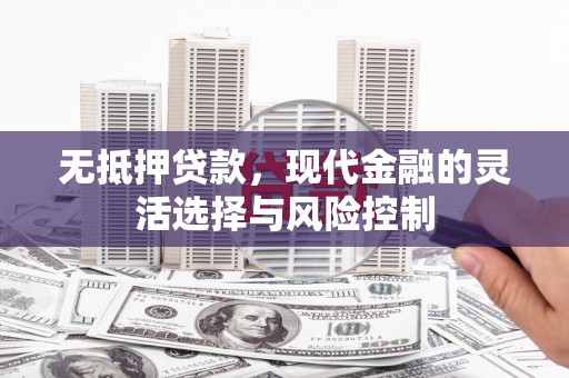 广水无抵押贷款，现代金融的灵活选择与风险控制
