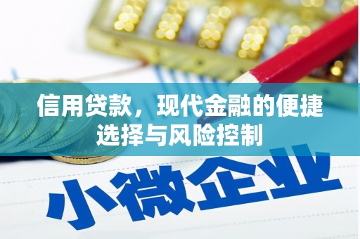 广水信用贷款，现代金融的便捷选择与风险控制