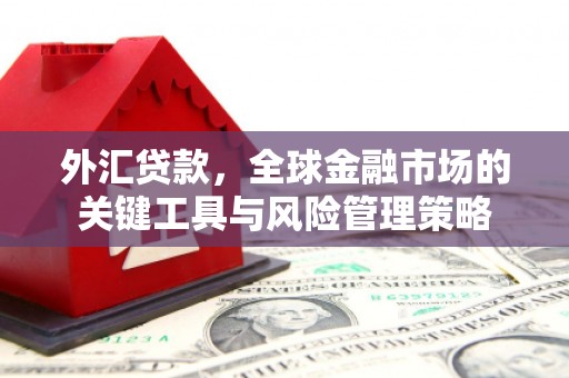 广水外汇贷款，全球金融市场的关键工具与风险管理策略