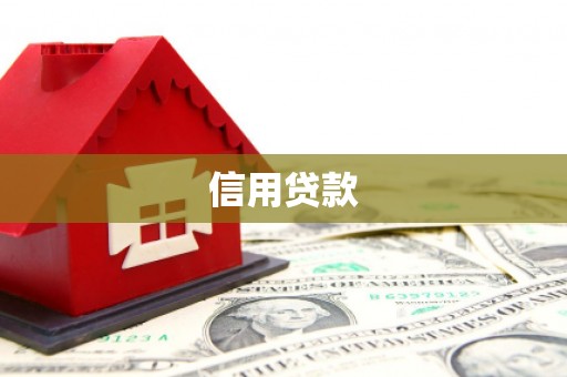 广水信用贷款