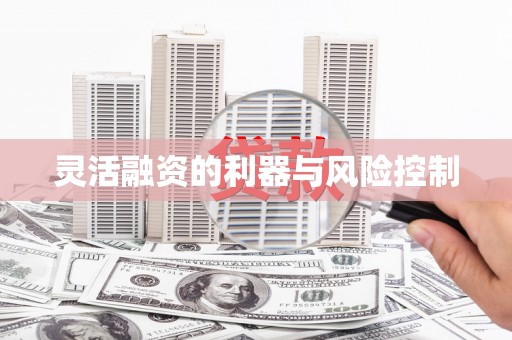 广水灵活融资的利器与风险控制