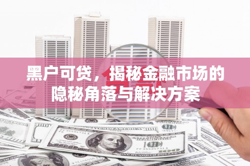 广水黑户可贷，揭秘金融市场的隐秘角落与解决方案