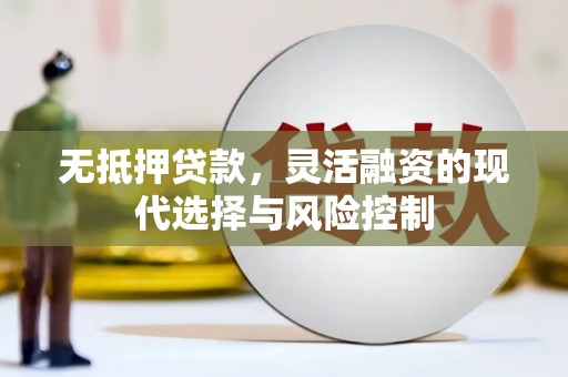 广水无抵押贷款，灵活融资的现代选择与风险控制