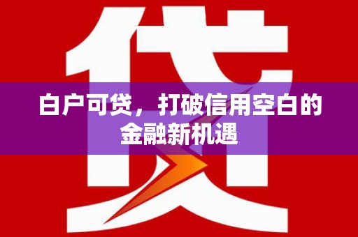 广水白户可贷，打破信用空白的金融新机遇