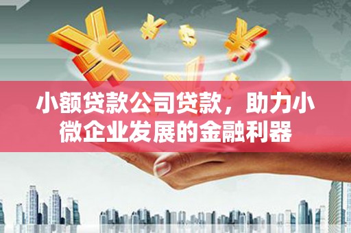 广水小额贷款公司贷款，助力小微企业发展的金融利器