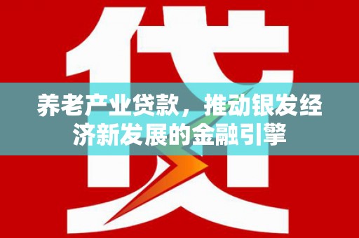 广水养老产业贷款，推动银发经济新发展的金融引擎