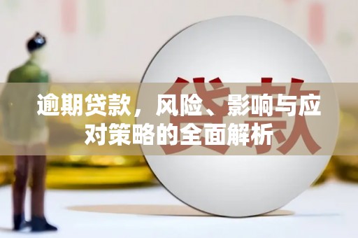 广水逾期贷款，风险、影响与应对策略的全面解析