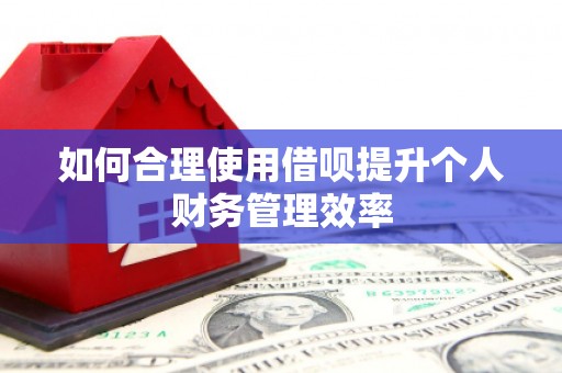 广水如何合理使用借呗提升个人财务管理效率