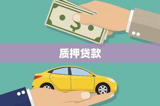 广水质押贷款