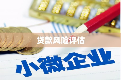 广水贷款风险评估