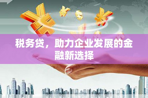 广水税务贷，助力企业发展的金融新选择