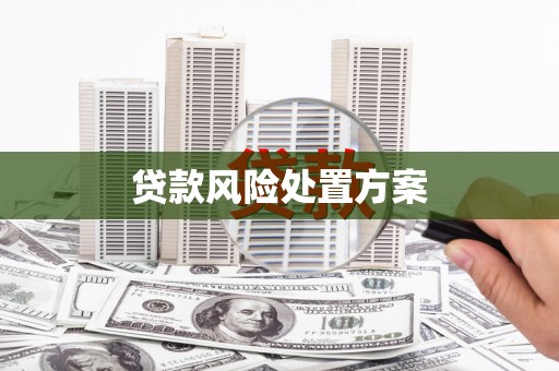 广水贷款风险处置方案