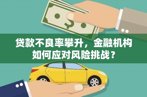 广水贷款不良率攀升，金融机构如何应对风险挑战？