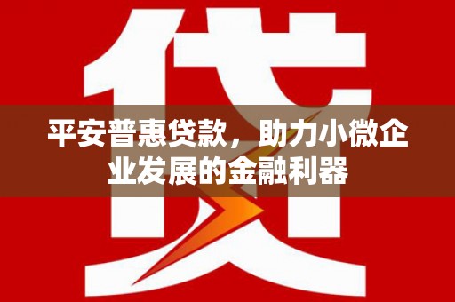 广水平安普惠贷款，助力小微企业发展的金融利器